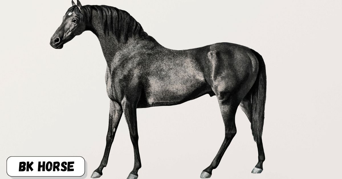 bk horse