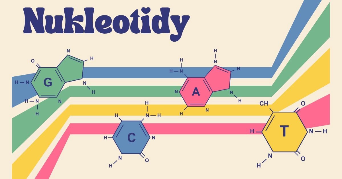 Nukleotidy